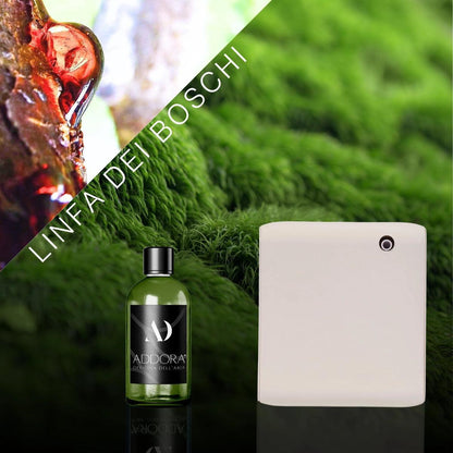 Kit Combo Narciso + Fragranza Green