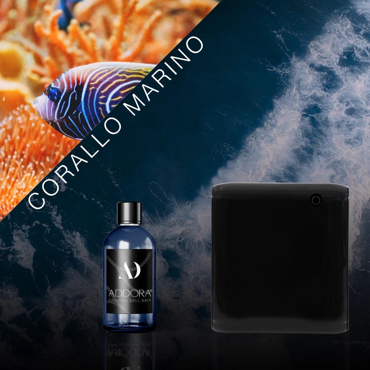 Kit Combo Narciso + Fragranza Marino