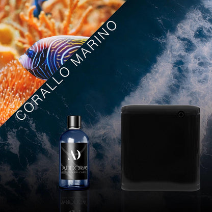 Kit Combo Narciso + Fragranza Marino
