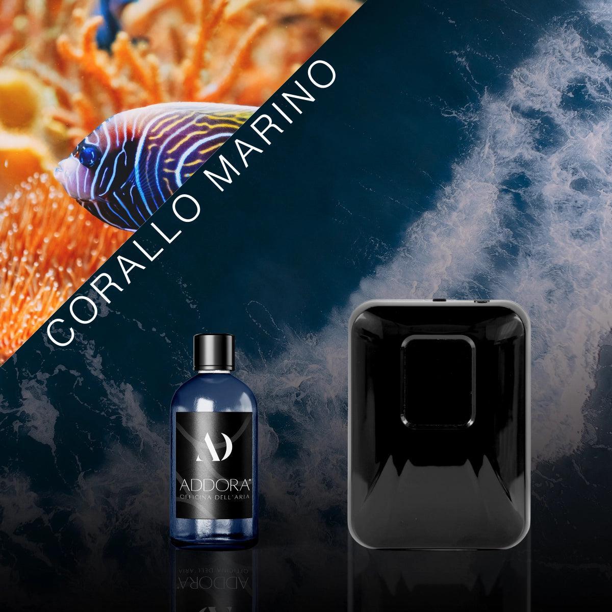 Kit Combo Chloè + Fragranza Marino