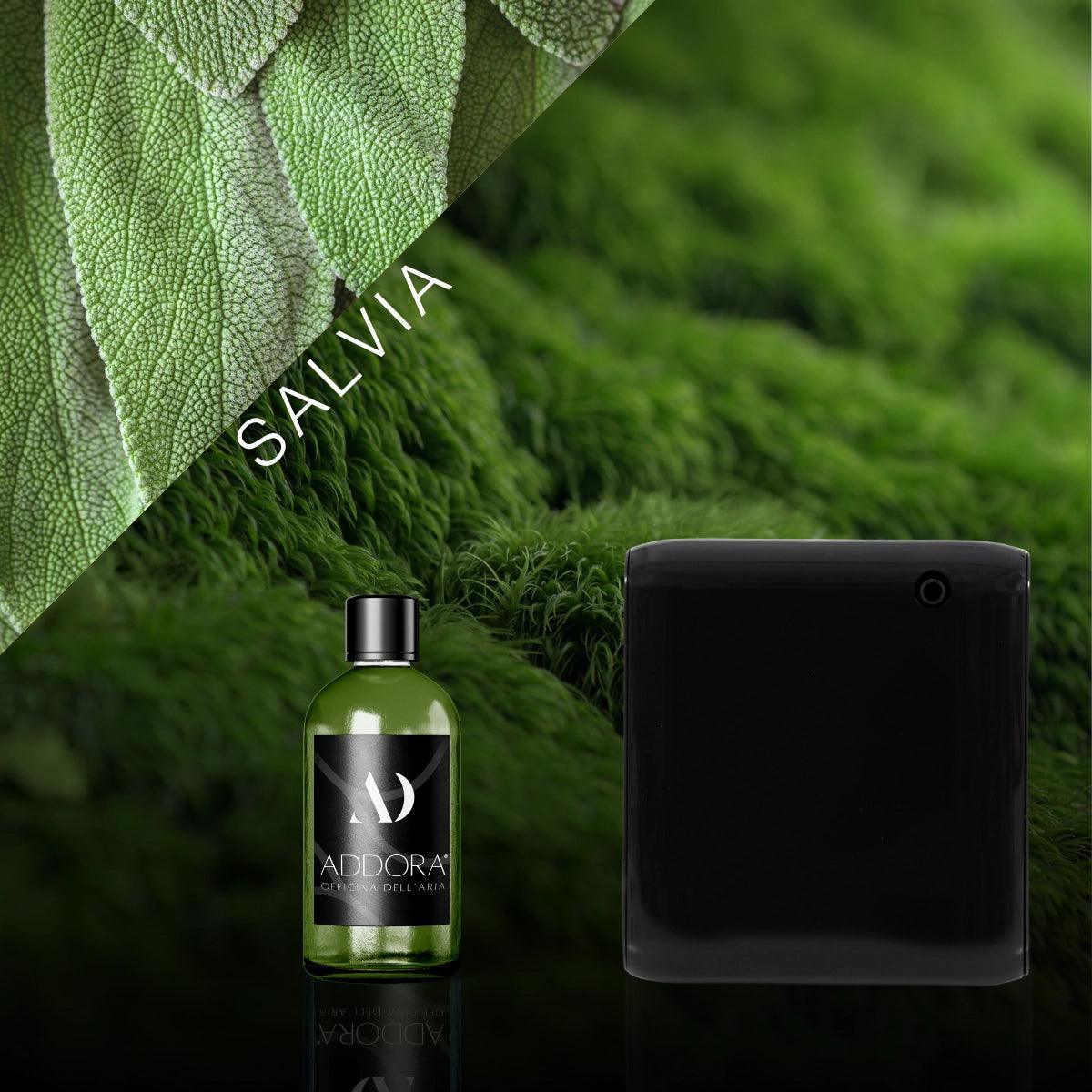 Kit Combo Narciso + Fragranza Green