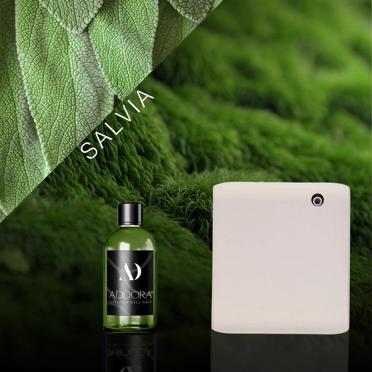 Kit Combo Narciso + Fragranza Green