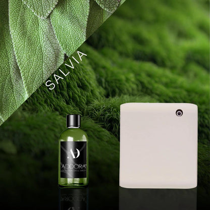 Kit Combo Narciso + Fragranza Green