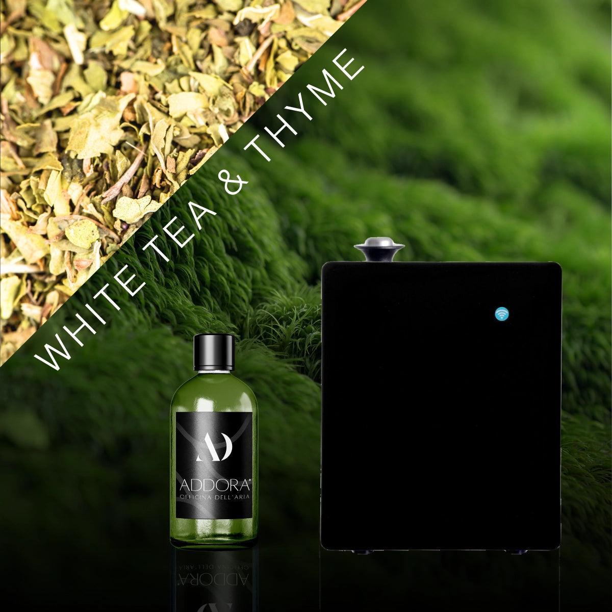 Kit Combo Hugo + Fragranza Green