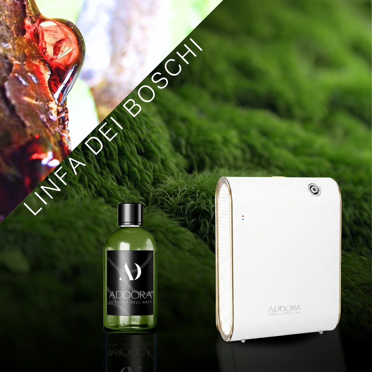 Kit Combo Celine + Fragranze Green