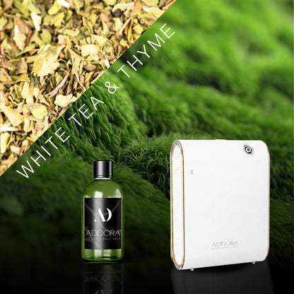 Kit Combo Celine + Fragranze Green