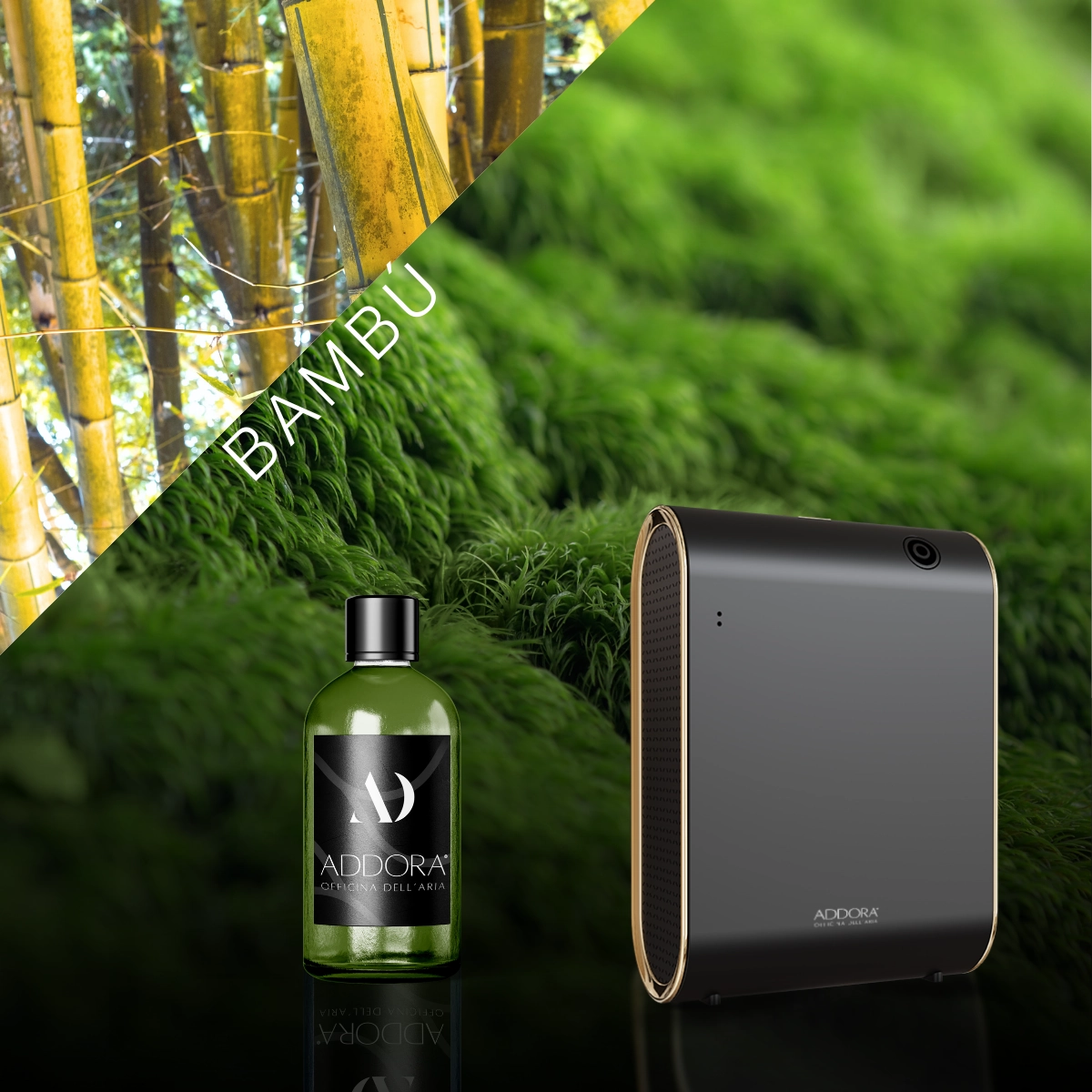 Kit Combo Celine + Fragranze Green