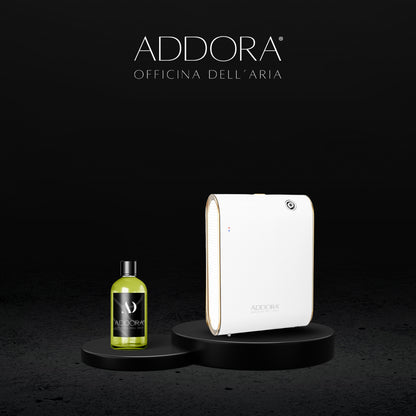 Kit Combo Celine + Fragranze Agrumi