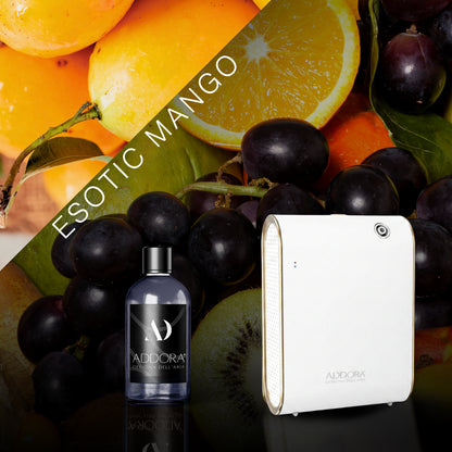 Kit Combo Celine + Fragranze Fruttato