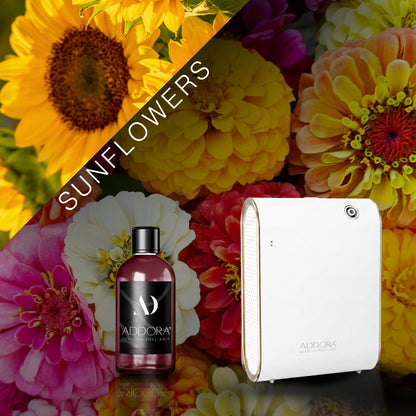 Kit Combo Celine + Fragranze Fiorito