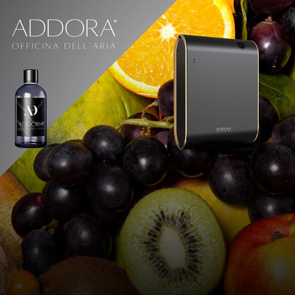 Kit Combo Celine + Fragranze Fruttato