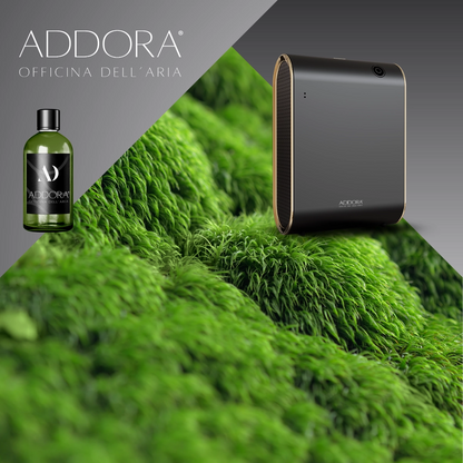 Kit Combo Celine + Fragranze Green
