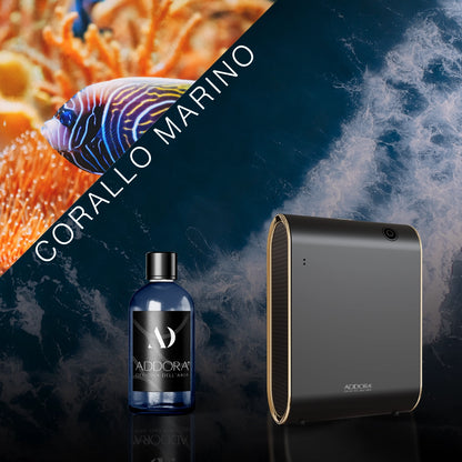 Kit Combo Celine + Fragranze Marino