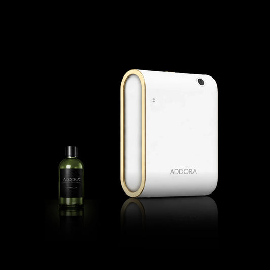 Kit Combo Celine + Fragranze Green