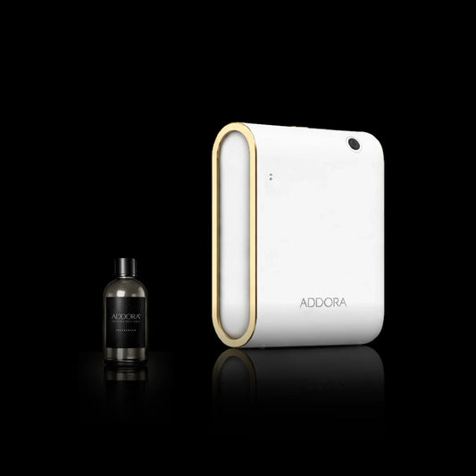 Kit Combo Celine + Fragranze Legnoso