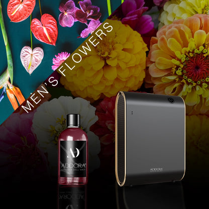 Kit Combo Celine + Fragranze Fiorito