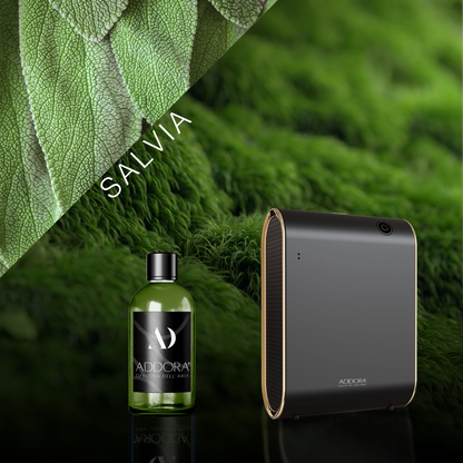 Kit Combo Celine + Fragranze Green