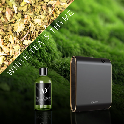 Kit Combo Celine + Fragranze Green