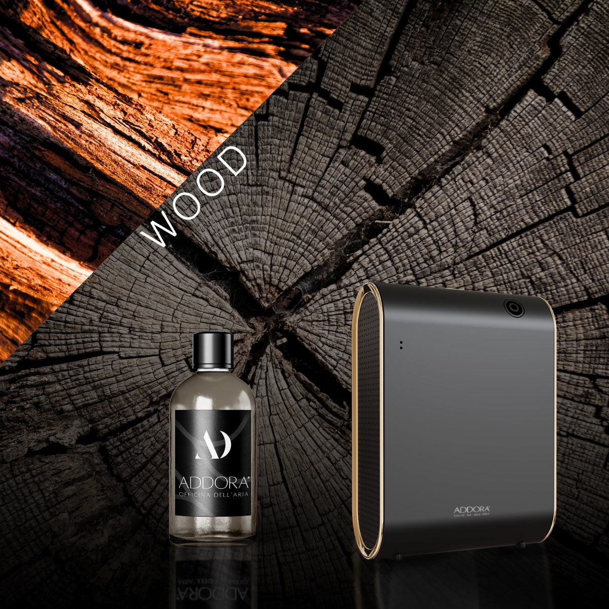 Kit Combo Celine + Fragranze Legnoso