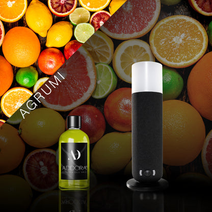 Kit Combo Dina + Fragranze Agrumi