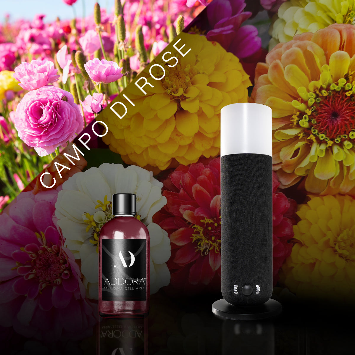 Kit Combo Dina + Fragranze Fiorito