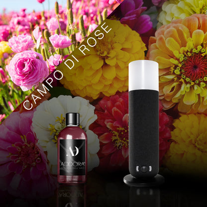 Kit Combo Dina + Fragranze Fiorito