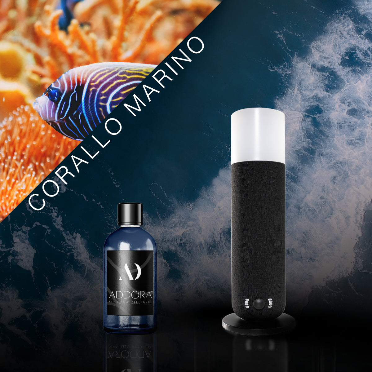 Kit Combo Dina + Fragranze Marino