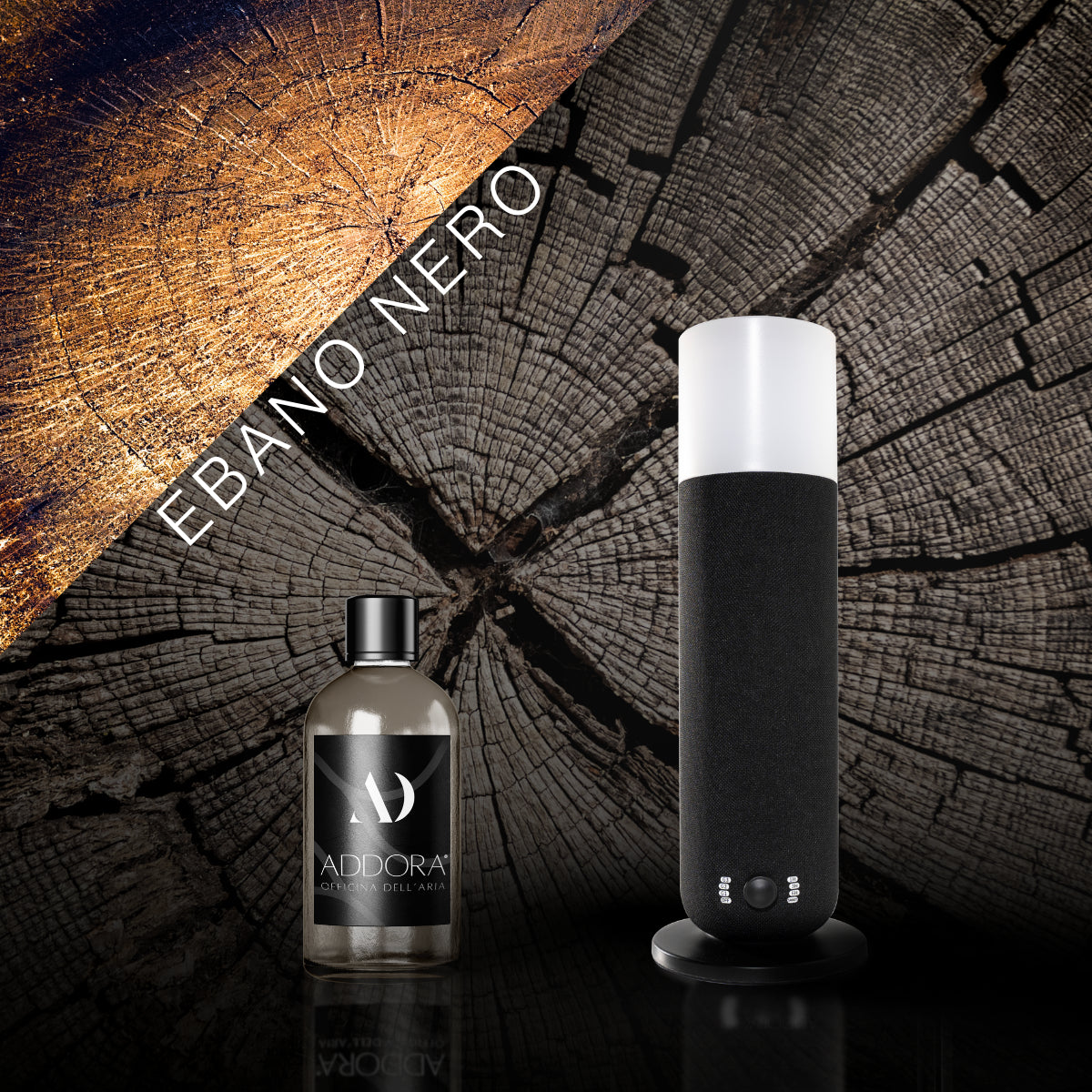 Kit Combo Dina + Fragranze Legnoso