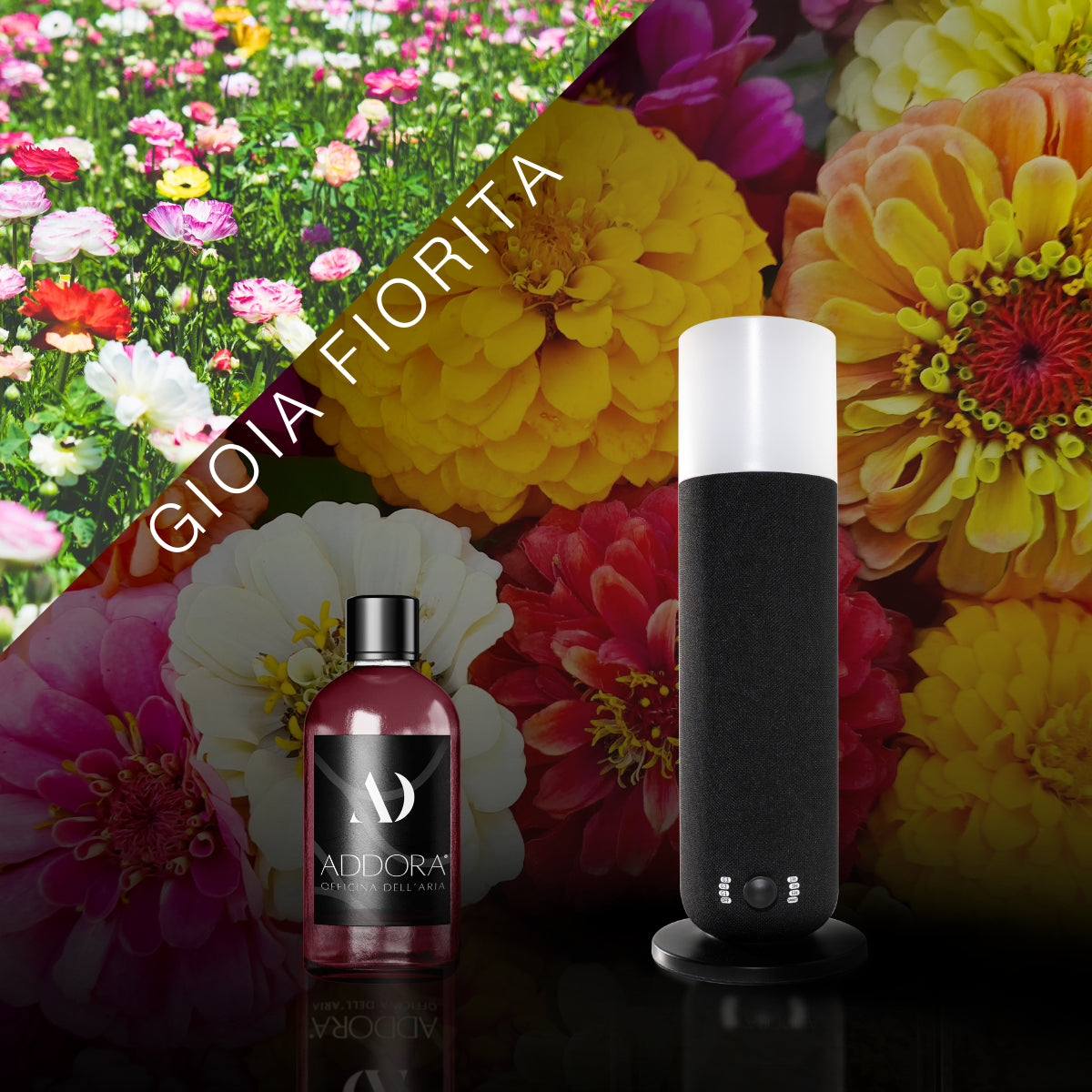 Kit Combo Dina + Fragranze Fiorito