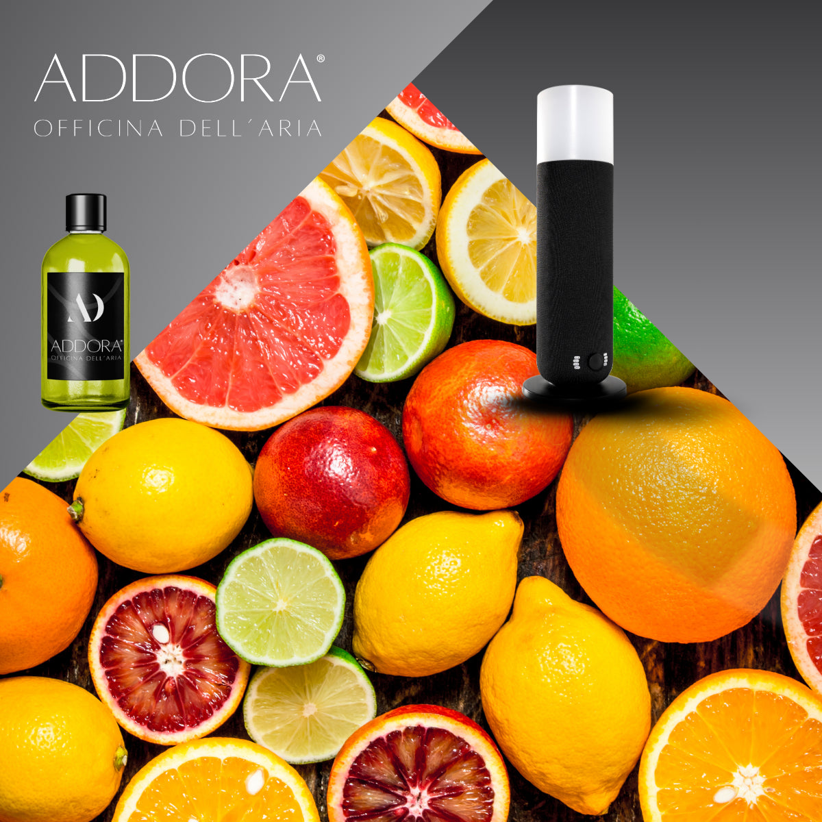 Kit Combo Dina + Fragranze Agrumi