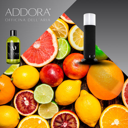 Kit Combo Dina + Fragranze Agrumi