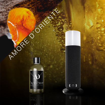 Kit Combo Dina + Fragranze Ambrato