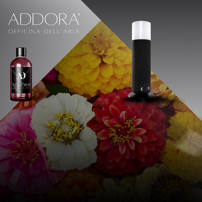 Kit Combo Dina + Fragranze Fiorito