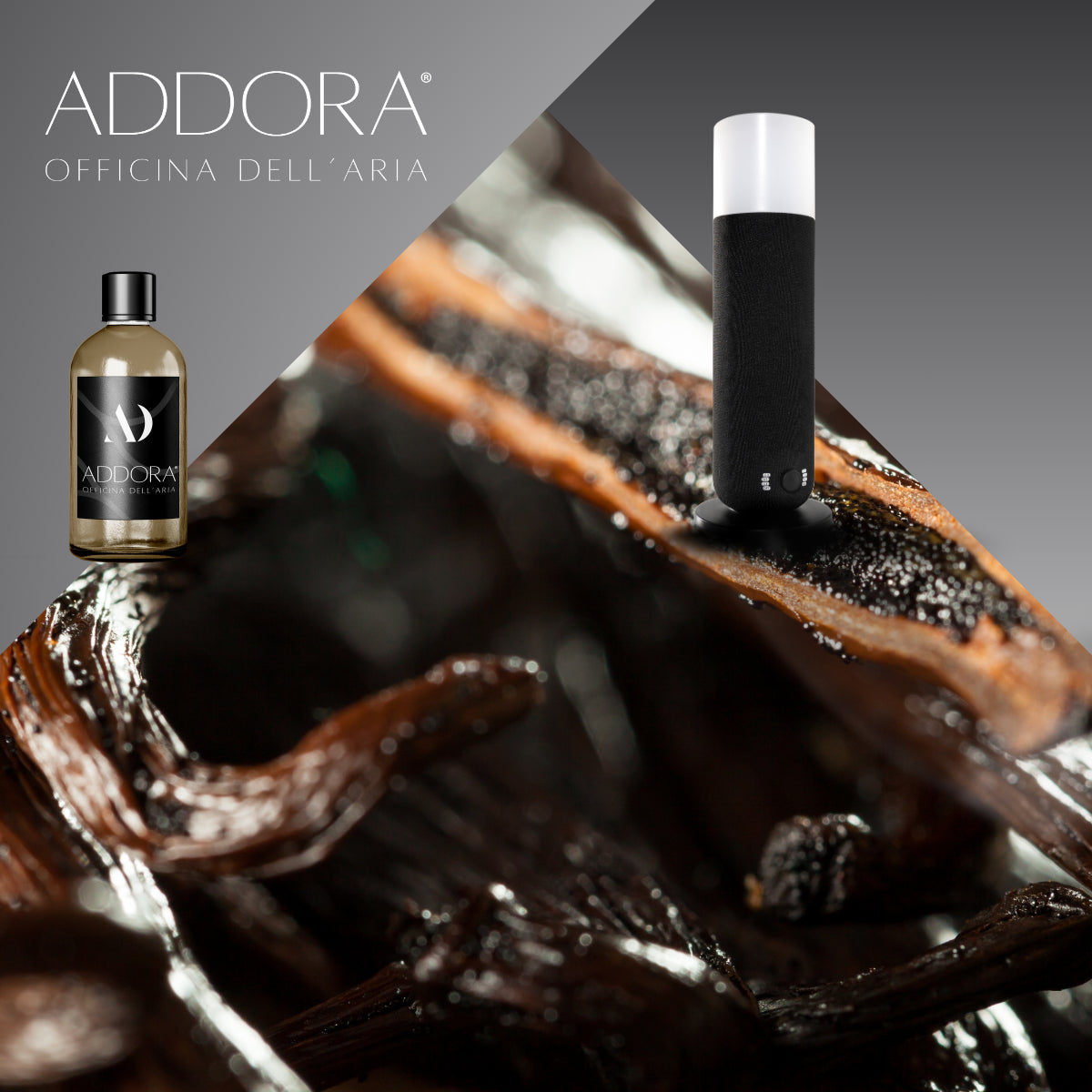 Kit Combo Dina + Fragranze Gourmand