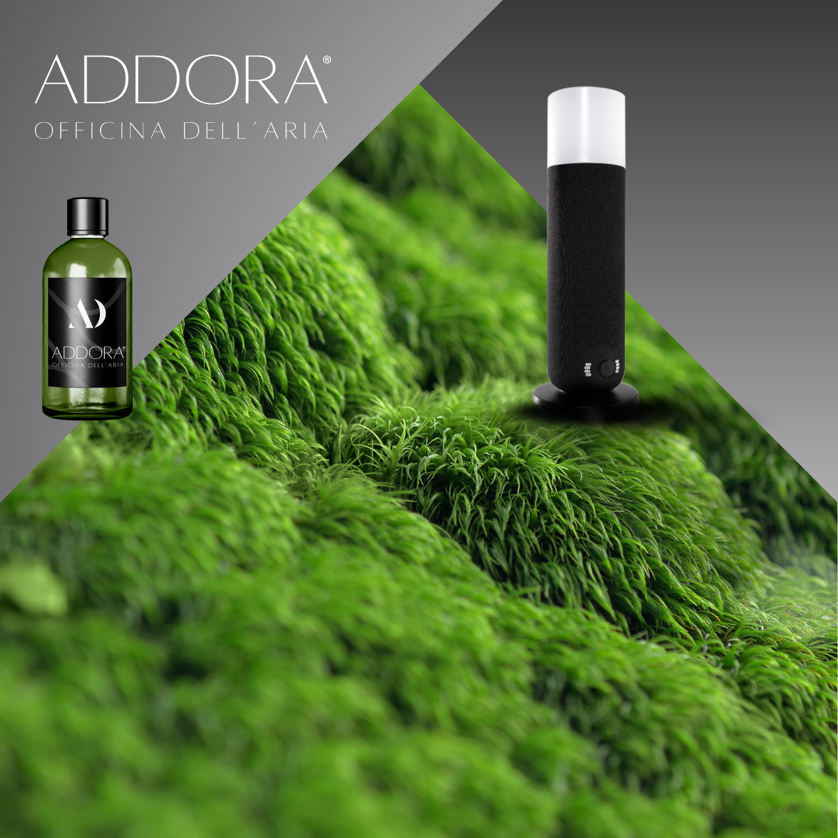 Kit Combo Dina + Fragranze Green