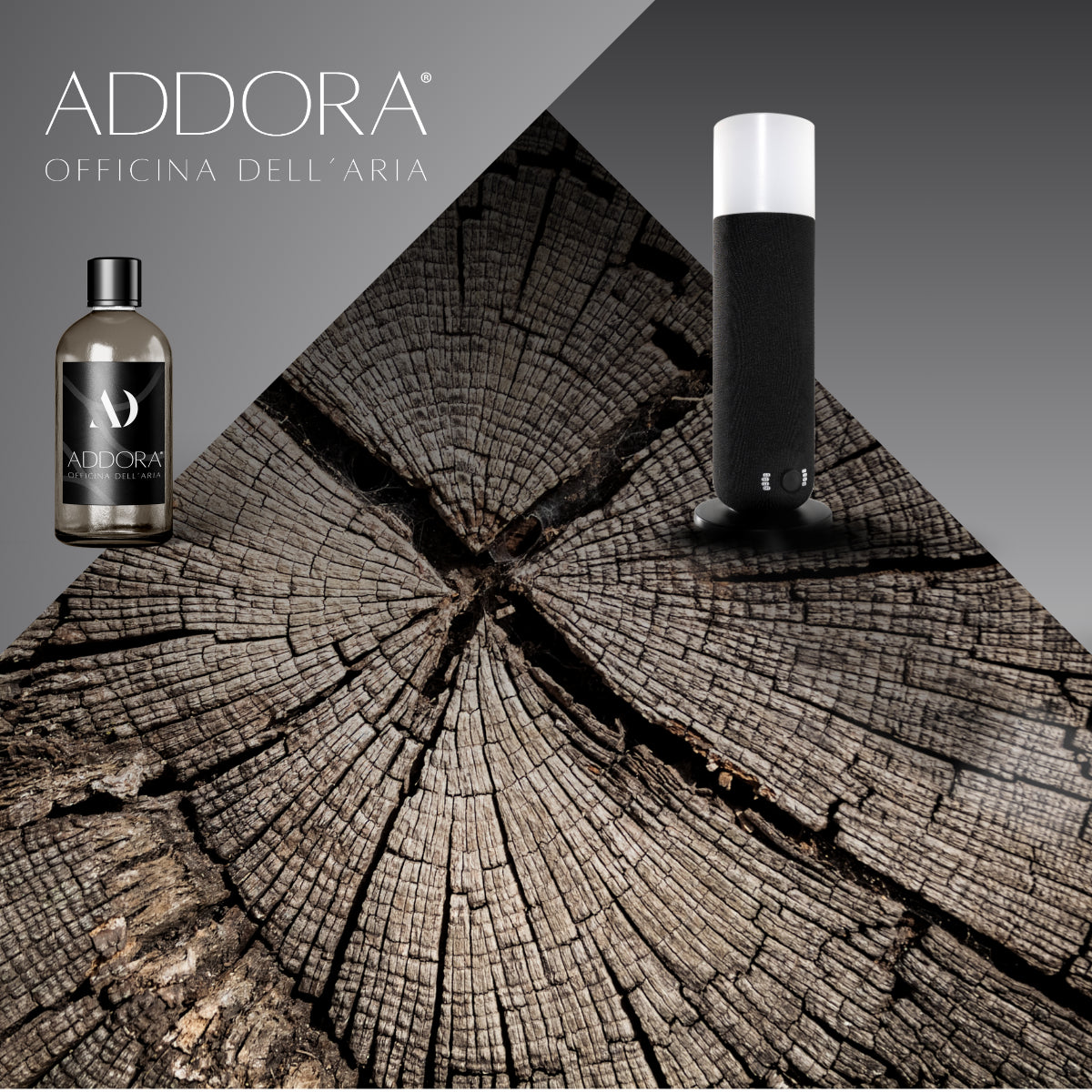 Kit Combo Dina + Fragranze Legnoso