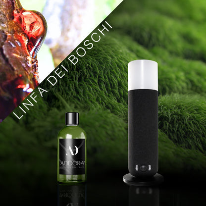 Kit Combo Dina + Fragranze Green