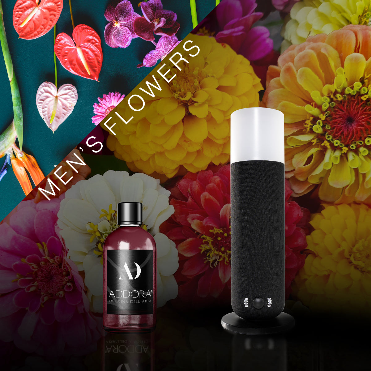 Kit Combo Dina + Fragranze Fiorito