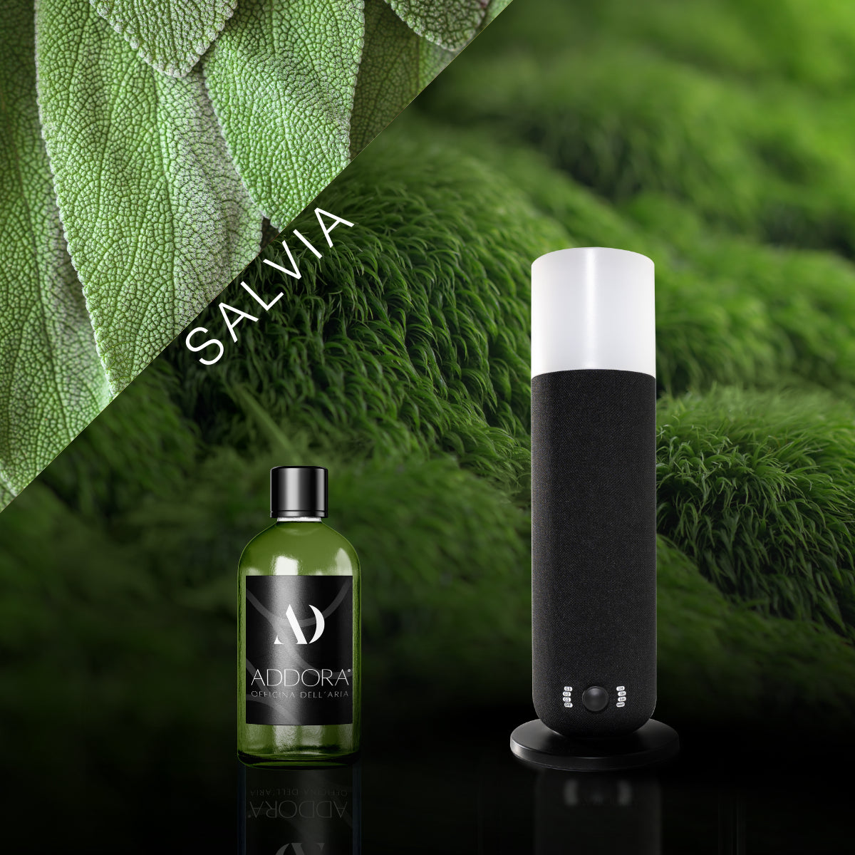 Kit Combo Dina + Fragranze Green