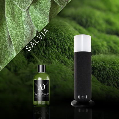 Kit Combo Dina + Fragranze Green