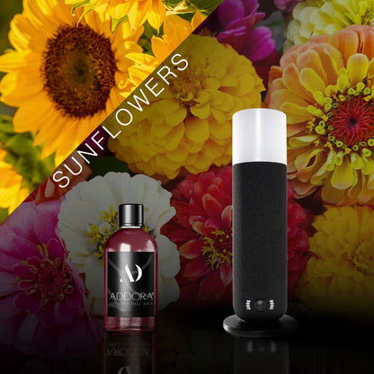 Kit Combo Dina + Fragranze Fiorito