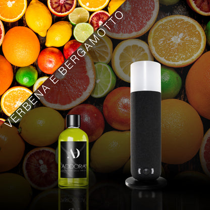 Kit Combo Dina + Fragranze Agrumi