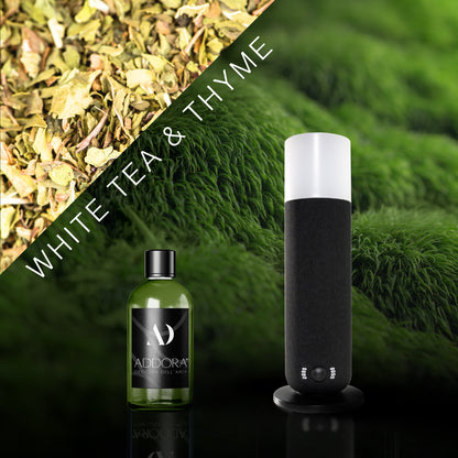 Kit Combo Dina + Fragranze Green