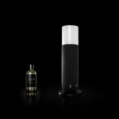 Kit Combo Dina + Fragranze Ambrato