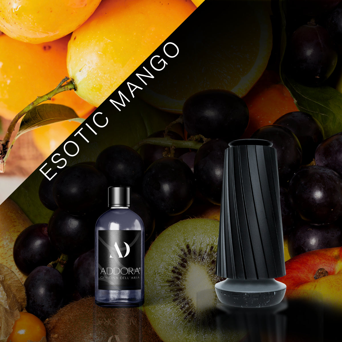 Kit Combo Dino + Fragranze Fruttato