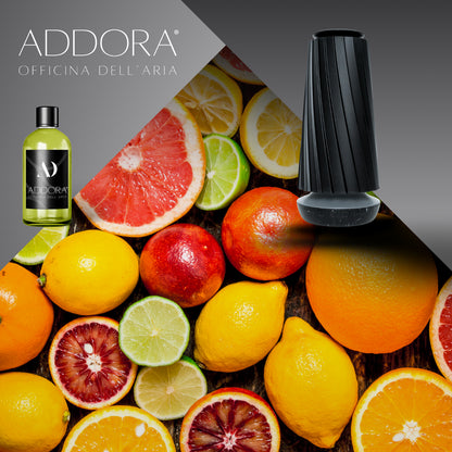 Kit Combo Dino + Fragranze Agrumi