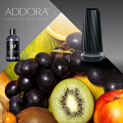 Kit Combo Dino + Fragranze Fruttato