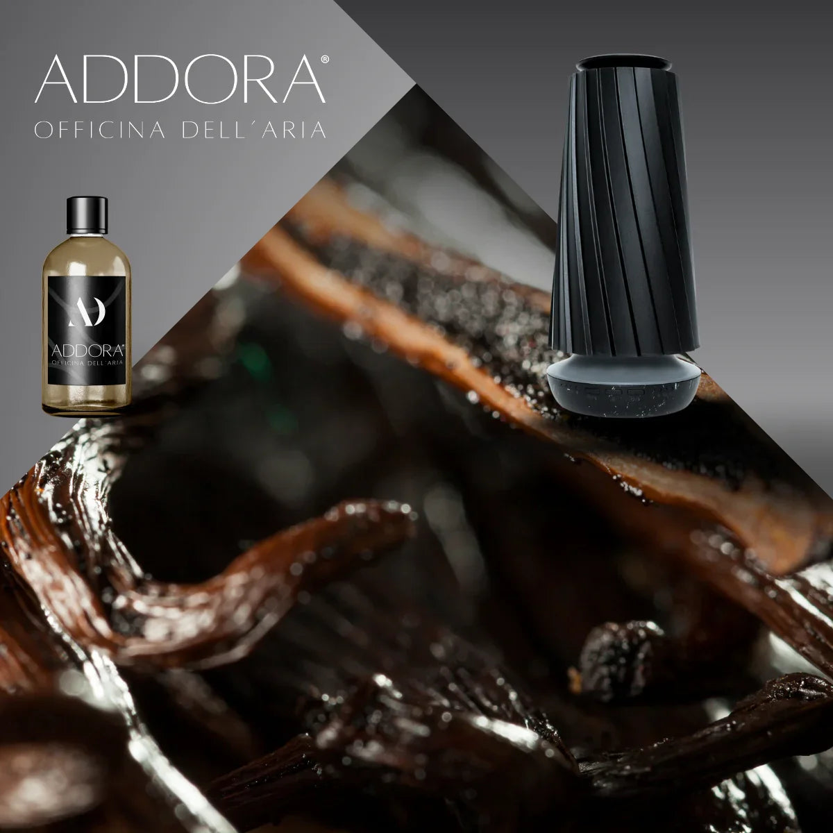 Kit Combo Dino + fragranze Gourmand
