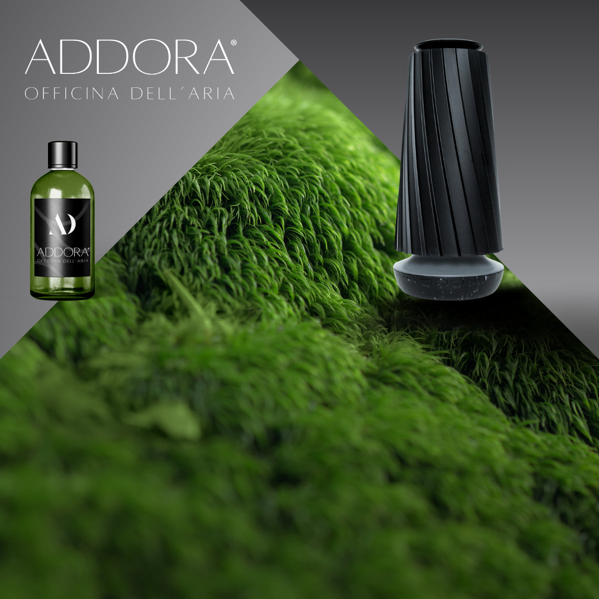 Kit Combo Dino + fragranze Green