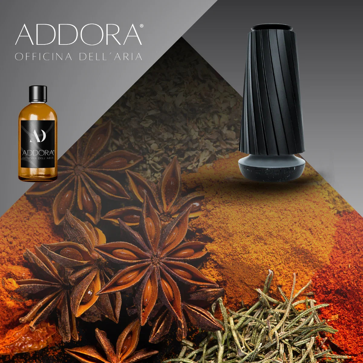 Kit Combo Dino + fragranze Speziato